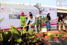 Pemprov DKI tambah 800 RTH atasi polusi udara