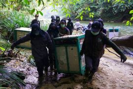 Kampanye "Merdeka bagi Orang Utan"