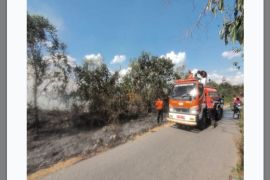 BPBD Tapin tangani karhutla hingga ke pinggir jalan
