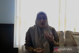 Pemprov Kalsel tidak pernah terbitkan izin tambang di Hulu Sungai Tengah