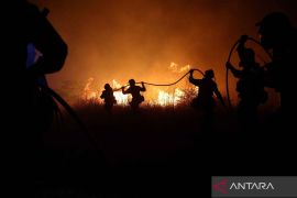 Kebakaran meluas di Yunani hingga ancam pinggiran Athena