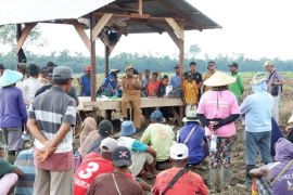 Puluhan petani di Keerom terima bantuan Rp100 juta