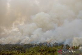 Waspada potensi karhutla di Kalsel pada Sabtu
