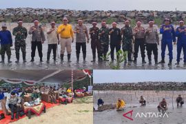 Polres-Pemkab Bangka Tengah tanam 1.000 mangrove