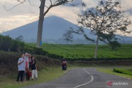 Wisata kebun teh sekitar Gunung Dempo Pagaralam masih aman dari dampak erupsi
