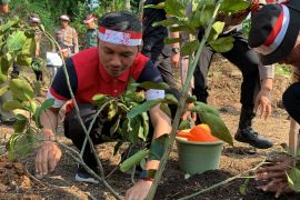 Tanam pohon di Danau Sipin, Ketua DPRD Jambi kampanyekan penghijauan sejak dini