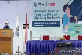 Persagi DKI gencar kampanyekan pemberian ASI eksklusif&nbsp;