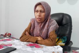 Dinkes Kota Palu tangani 371 kasus DBD periode Januari - Agustus