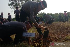 Polisi tanam 1.000 bibit pohon di Mukomuko