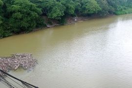 Permukaan air Sungai Ciberang-Ciujung Lebak menyusut
