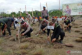 Polda Sulawesi Tenggara serentak lakukan penanaman 20 ribu bibit mangrove