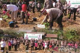 Polres HSS tanam serentak ribuan bibit pohon hijaukan empat kawasan