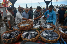 Ekspor perikanan Aceh ke tujuh negara Page 1 Small
