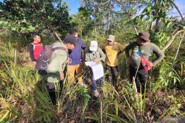 Lebih dari 500 ribu bibit pohon ditanam di Tanagupa sejak 2009