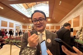 Wamendag sebut "Positive list" barang impor prioritaskan bahan baku