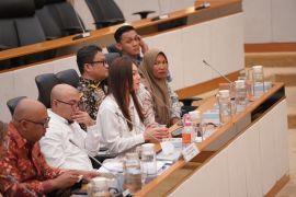 Komisi IV DPR dengarkan kajian terkait ekspor benih bening lobster