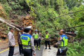Jalur alternatif untuk menghindari longsor di Jalan Lintasan Blangkejeren-Takengon