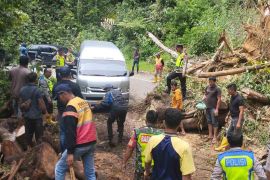 Jalur wilayah tengah Aceh kembali normal setelah putus akibat longsor