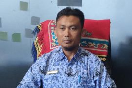 300 hektare lahan sawah di Bangka Selatan dilanda kekeringan