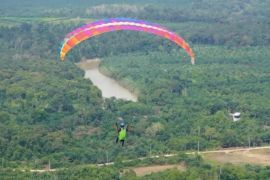 Disporapar Paser datangkan atlet paralayang profesional layani wisawatan