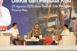 Tingkatkan pertumbuhan UMKM dan ekraf Riau dengan digitalisasi