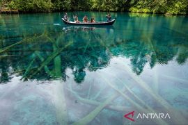 Danau Paisupok unggulan wisata alam di Bangkep Page 1 Small