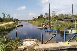 Dinas pertanian Bangka Selatan minta kelompok tani atur pembagian air