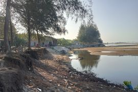 Pemkab Pasaman Barat harapkan pembangunan grib dari pemprov antisipasi meluasnya abrasi di objek wisata