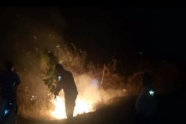 Camat di Flores Timur imbau warga waspada karhutla