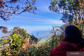 Tim Ekspedisi Meratus jajal hutan hujan di Gunung Rorokoan Kalsel