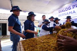 PT Pupuk Indonesia sediakan NPK Petro Ningrat untuk petani tembakau