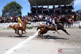 Pacuan kuda tradisional Gayo meriahkan HUT RI