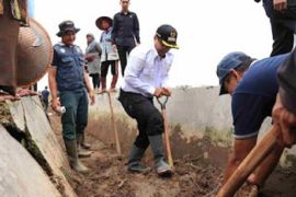 Tingkatkan ketahanan pangan, Pj Wako Payakumbuh ikut goro bersama warga