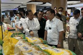 Hadapi lonjakan harga, Bulog bakal edarkan beras kemasan 1 kg
