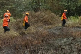 Petugas gabungan padamkan kebakaran kawasan lahan hutan di Subang