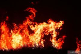 Petani di Tapin Kalsel tewas saat padamkan karhutla tanpa APD