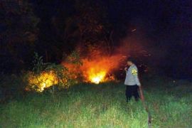 Tim gabungan Penajam Paser Utara berhasil  padamkan tiga karhutla