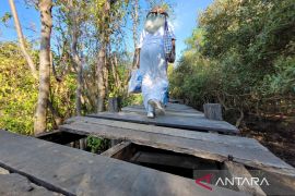 Pemkab Situbondo usulkan anggaran pemeliharaan wisata "Kampung Blekok"