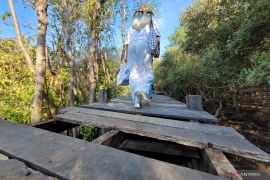 Pokdarwis Kampung Blekok Situbondo usulkan ke pemkab perbaikan sarana