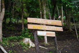 PLN UIW MMU salurkan bantu pembangunan hutan musik sound of green di Ambon