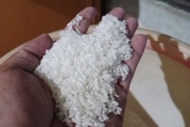 Harga Beras di Loteng masih stabil di musim kemarau 2023
