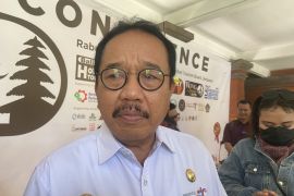 Wagub Bali tanggapi warga Rusia mengamuk di Ungasan