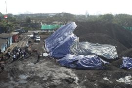 DLH DKI beri sanksi dua perusahaan batu bara di Jakut