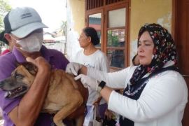 Dinas KP3 Kota Medan vaksin 1.588 ekor hewan peliharaan di Medan Tuntungan