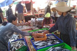 BUMD Jamkrida Bali Mandara perkuat sistem digitalisasi tingkatkan penjaminan UMKM