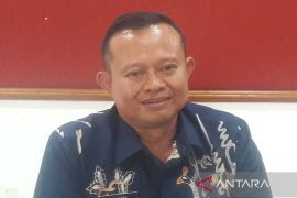 Borobudur Night Carnival upaya menghidupkan wisata malam