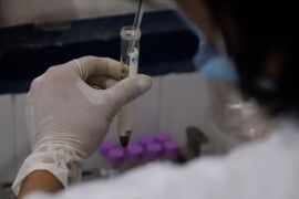 Pemprov Kalbar upayakan regulasi tata kelola dan niaga kratom