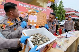 Polres Aceh Utara ungkap paket ikan asin berisi 6 kg sabu
