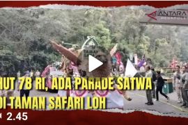 HUT ke-78 RI, ada parade satwa di Taman Safari loh