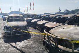 12 mobil dinas terbakar di area parkir DPR Papua - Video